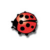 Avatar Ladybirds - Ladybugs