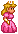 Princess Mario Bros